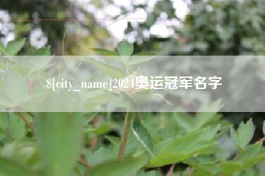 玉树2024奥运冠军名字