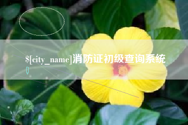 玉树消防证初级查询系统