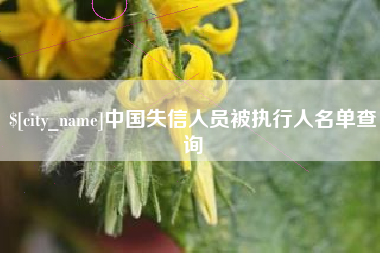 玉树中国失信人员被执行人名单查询