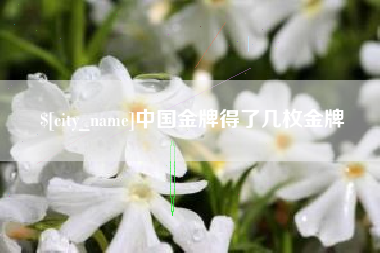 玉树中国金牌得了几枚金牌