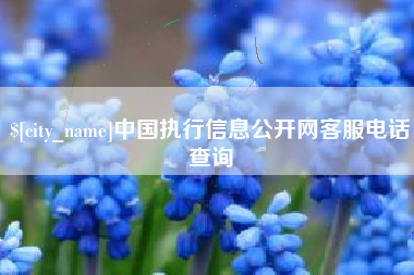 玉树中国执行信息公开网客服电话查询