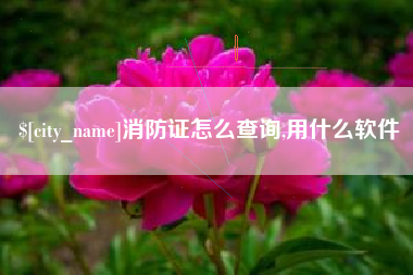 玉树消防证怎么查询,用什么软件