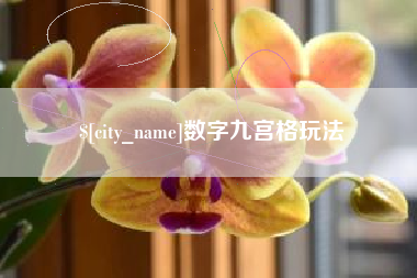 玉树数字九宫格玩法