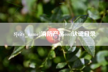 玉树消防产品cccf认证目录