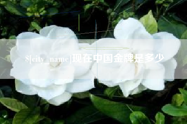 玉树现在中国金牌是多少