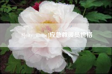 玉树应急救援员价格