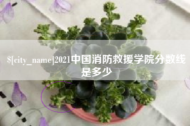 玉树2021中国消防救援学院分数线是多少