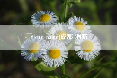 玉树成都 消防