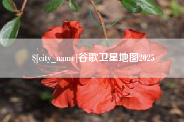 玉树谷歌卫星地图2025