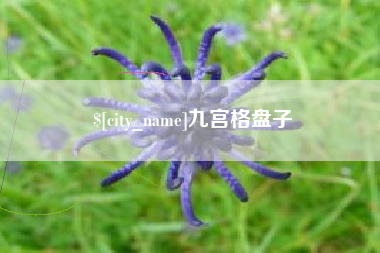 玉树九宫格盘子