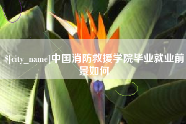 玉树中国消防救援学院毕业就业前景如何