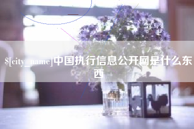 玉树中国执行信息公开网是什么东西