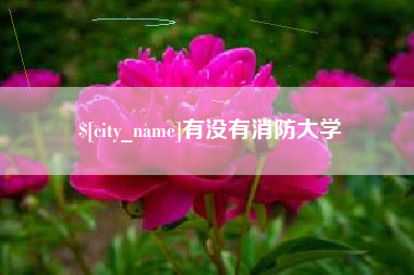 玉树有没有消防大学