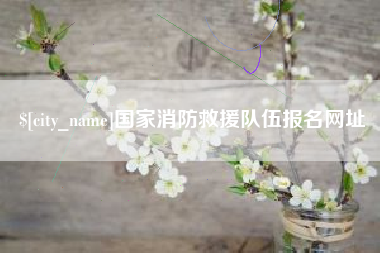 玉树国家消防救援队伍报名网址