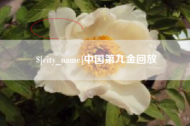 玉树中国第九金回放