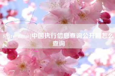 玉树中国执行信息查询公开网怎么查询