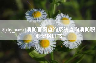 玉树消防官网查询系统查询消防职业资格证书