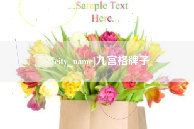 玉树九宫格牌子