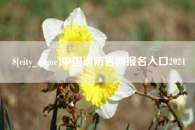 玉树中国消防官网报名入口2024