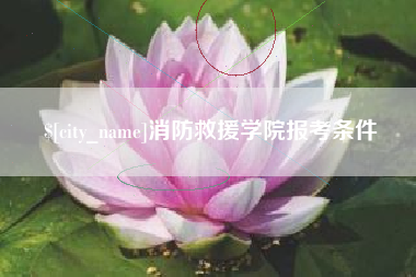 玉树消防救援学院报考条件