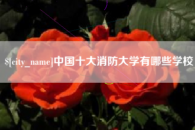 玉树中国十大消防大学有哪些学校