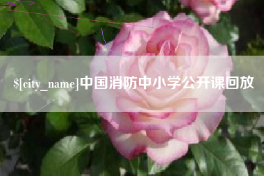 玉树中国消防中小学公开课回放