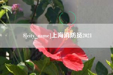 玉树上海消防员2021