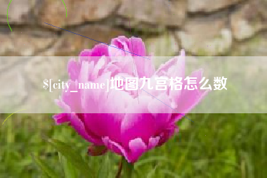 玉树地图九宫格怎么数