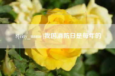 玉树我国消防日是每年的