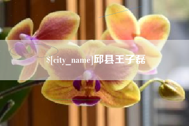 玉树邱县王子磊