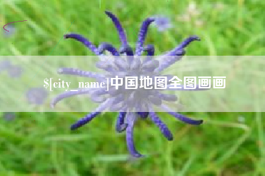 玉树中国地图全图画画
