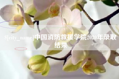玉树中国消防救援学院2020年录取结果