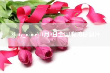 玉树11月9日全国消防日图片