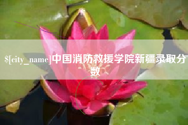 玉树中国消防救援学院新疆录取分数