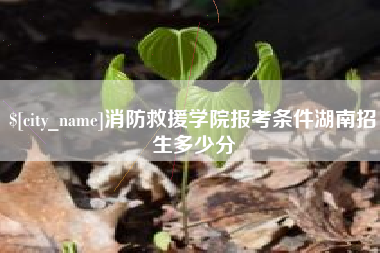 玉树消防救援学院报考条件湖南招生多少分