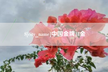 玉树中国金牌18金