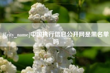 玉树中国执行信息公开网是黑名单吗