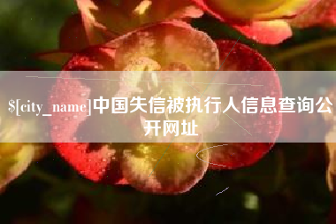 玉树中国失信被执行人信息查询公开网址