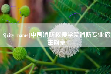 玉树中国消防救援学院消防专业招生简章