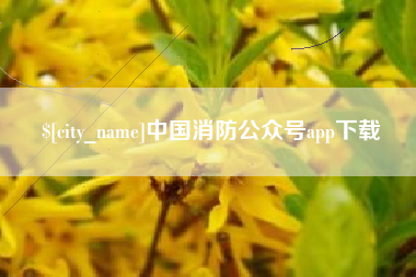 玉树中国消防公众号app下载
