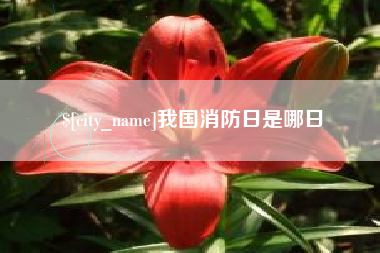 玉树我国消防日是哪日