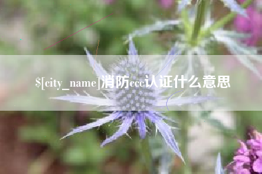玉树消防ccc认证什么意思