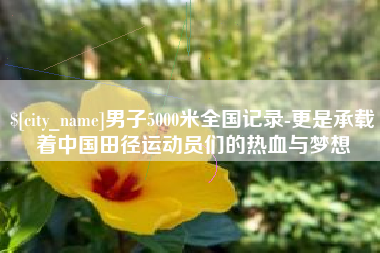 玉树男子5000米全国记录-更是承载着中国田径运动员们的热血与梦想