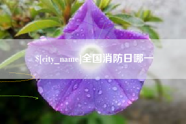 玉树全国消防日哪一