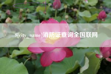 玉树消防证查询全国联网
