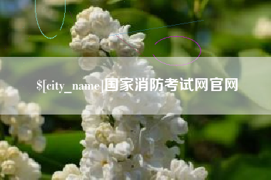 玉树国家消防考试网官网