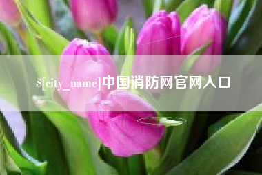 玉树中国消防网官网入口