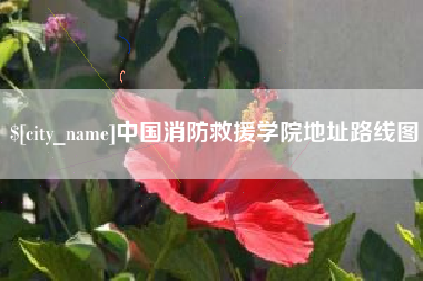 玉树中国消防救援学院地址路线图