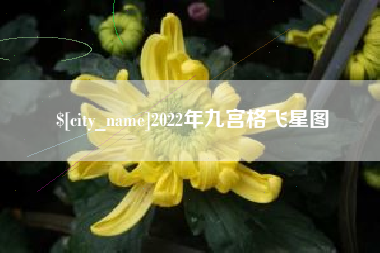 玉树2022年九宫格飞星图