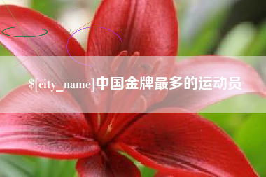 玉树中国金牌最多的运动员